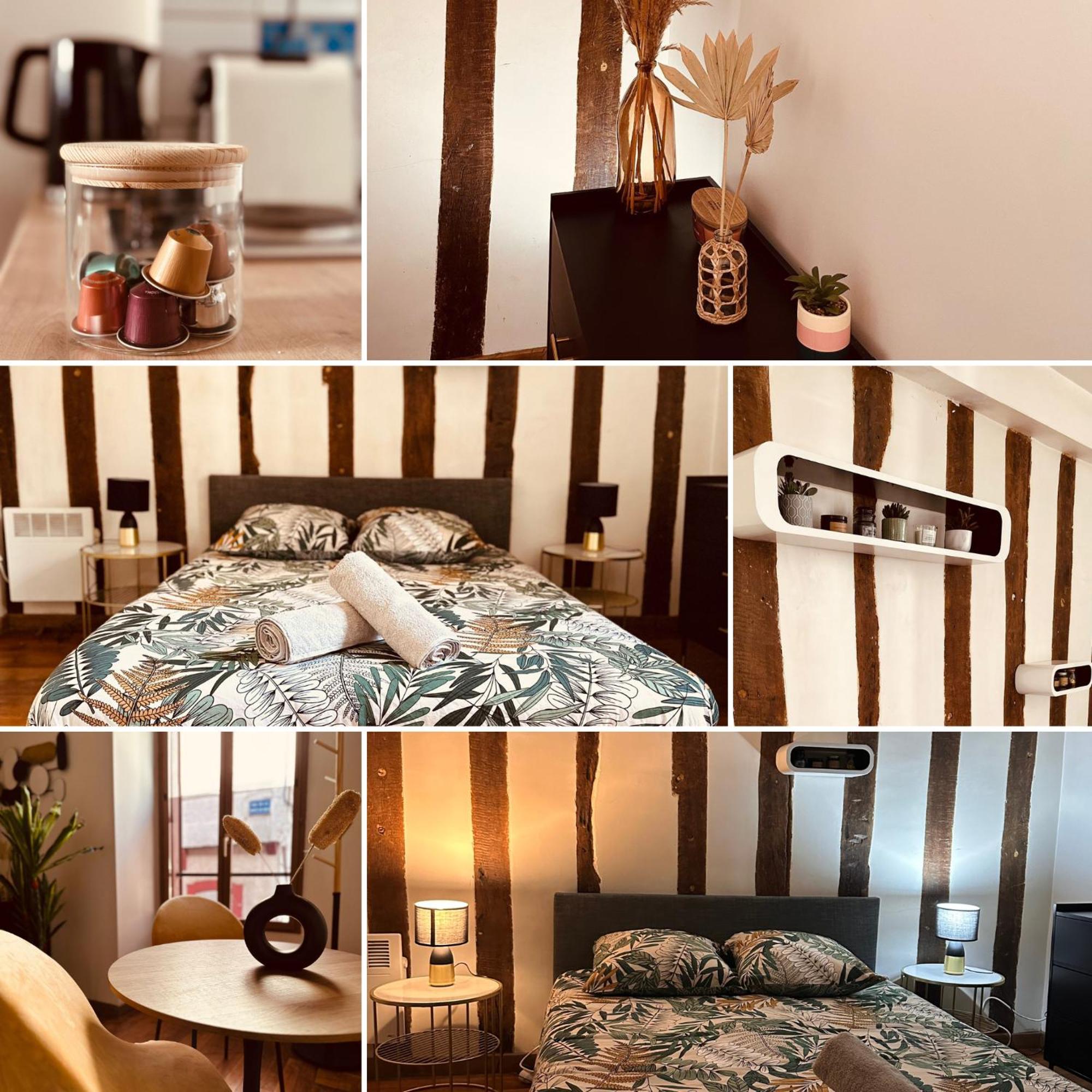 Cocon Bois-joly * Joigny